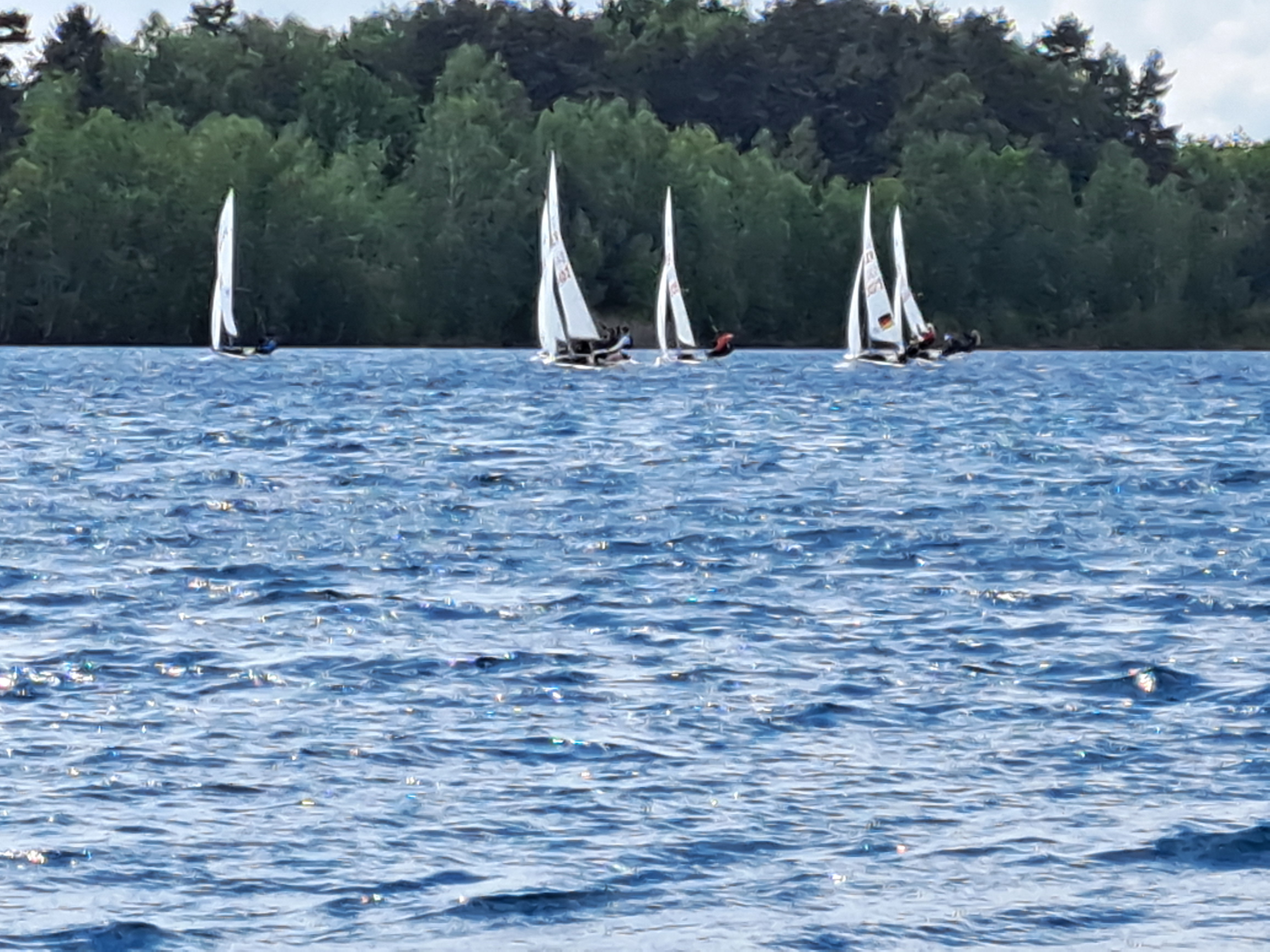 420er-Crews bei einer Wettfahrt auf dem Brückelsee
